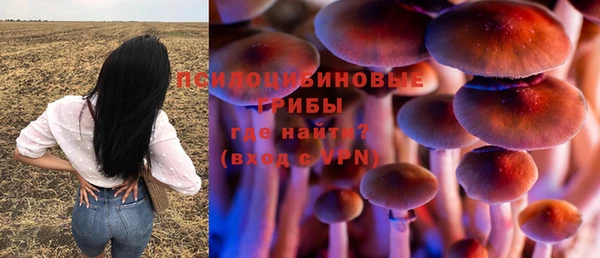стафф Ивантеевка