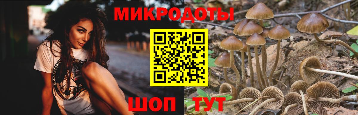Псилоцибиновые грибы мицелий Семилуки